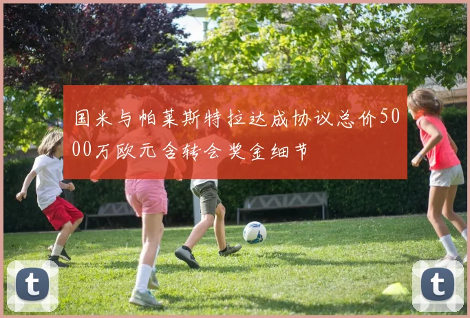 国米与帕莱斯特拉达成协议总价5000万欧元含转会奖金细节