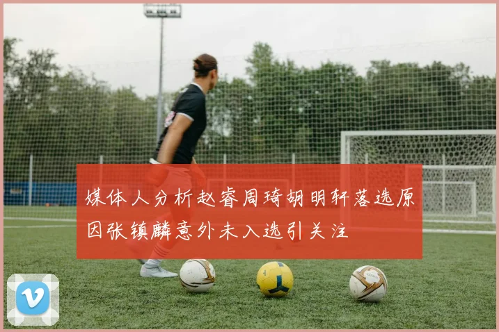 媒体人分析赵睿周琦胡明轩落选原因张镇麟意外未入选引关注