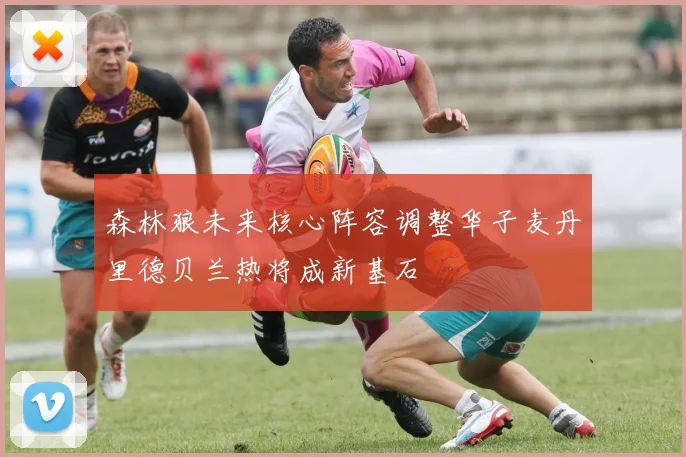 森林狼未来核心阵容调整华子麦丹里德贝兰热将成新基石